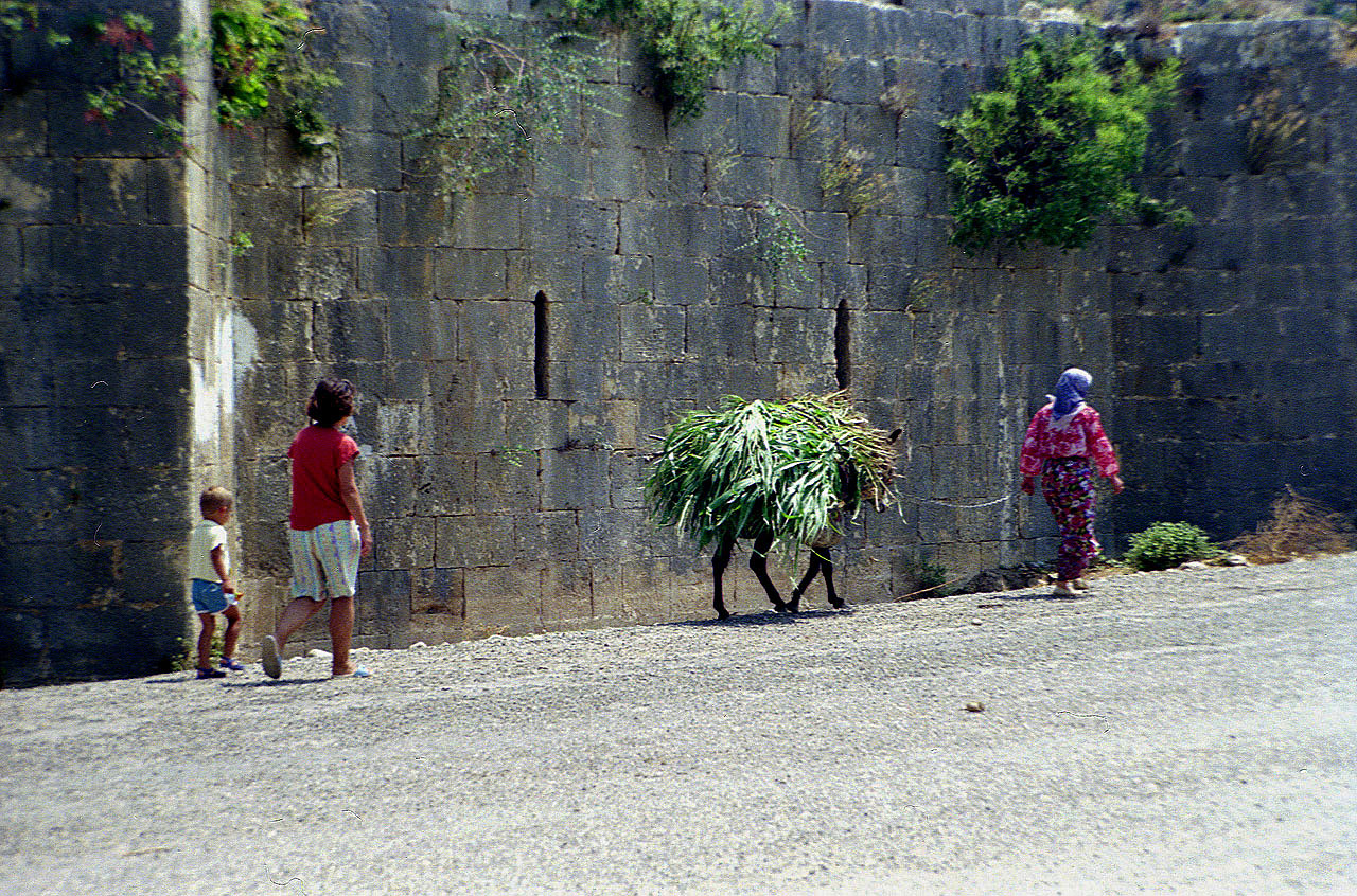 06.08.1991 | Alarahan | altes Mauerwerk auf der Westseite