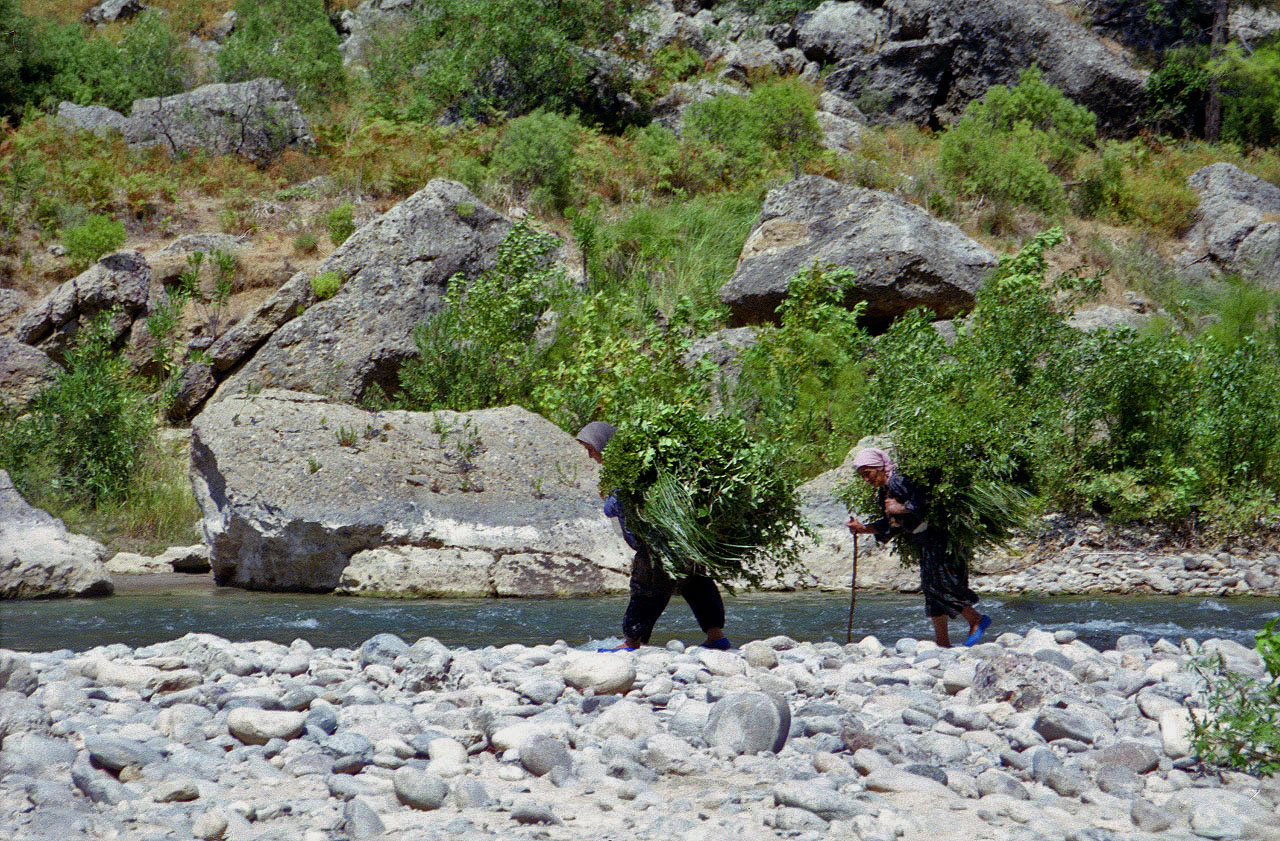 31.08.1995 | Alara Fluß | Bäuerinnen beim Holzsammeln