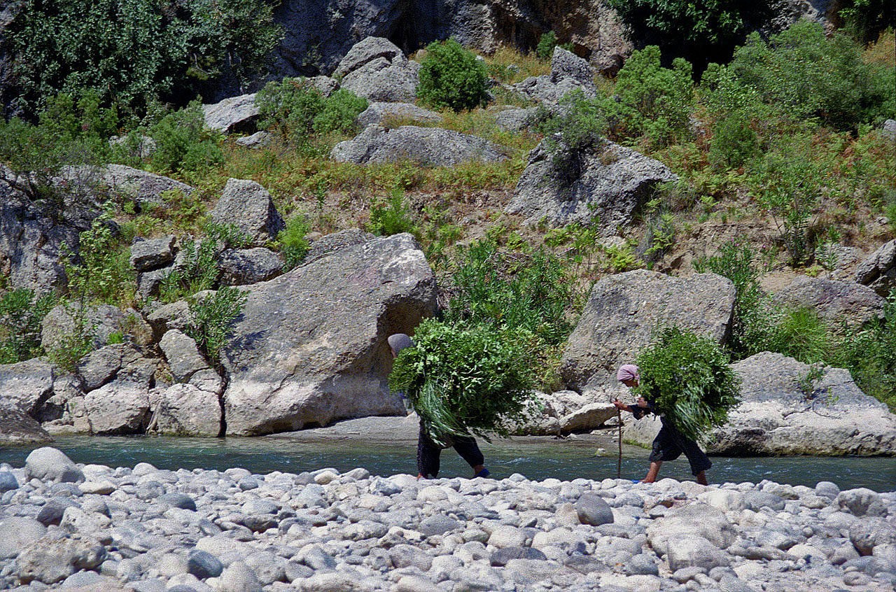 31.08.1995 | Alarahan | Bäuerinnen beim Holzsammeln