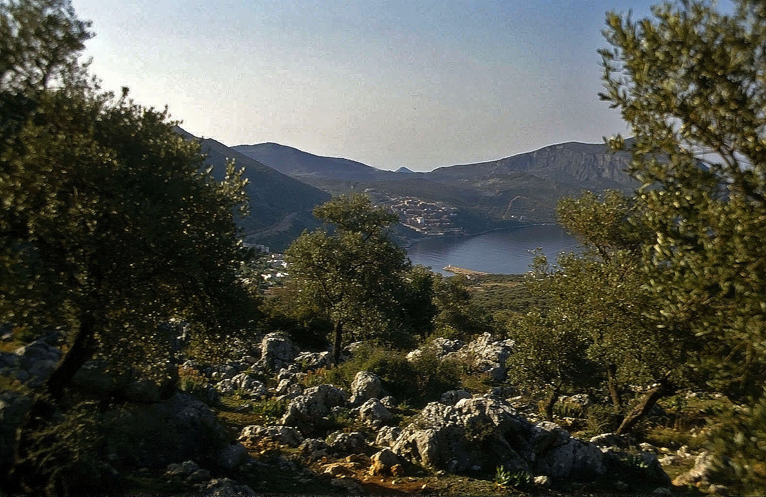 Kalkan