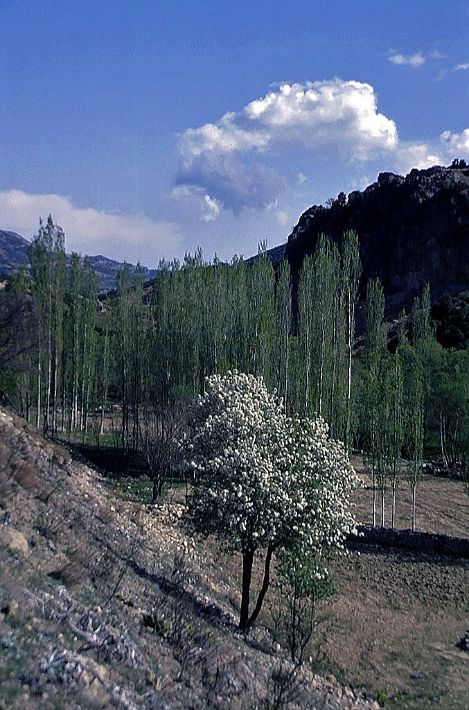 27.04.1993 | vor Aglasun | typische Taurus Landschaft