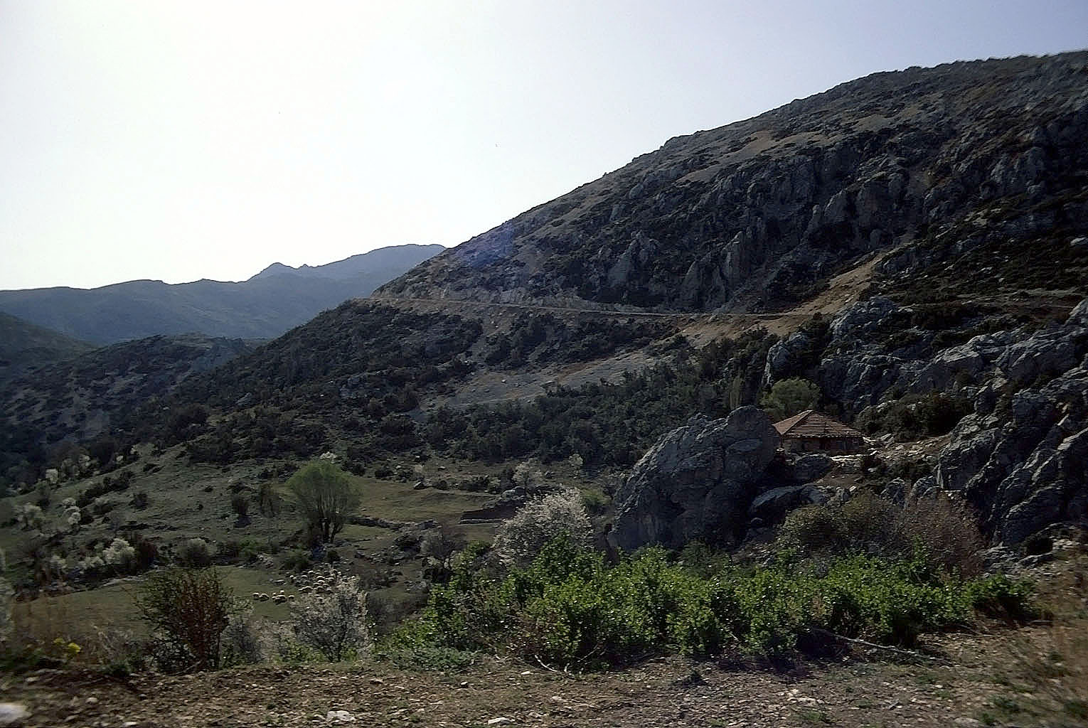 27.04.1993 | vor Sagalassos | Strasse ins Stadtgebiet