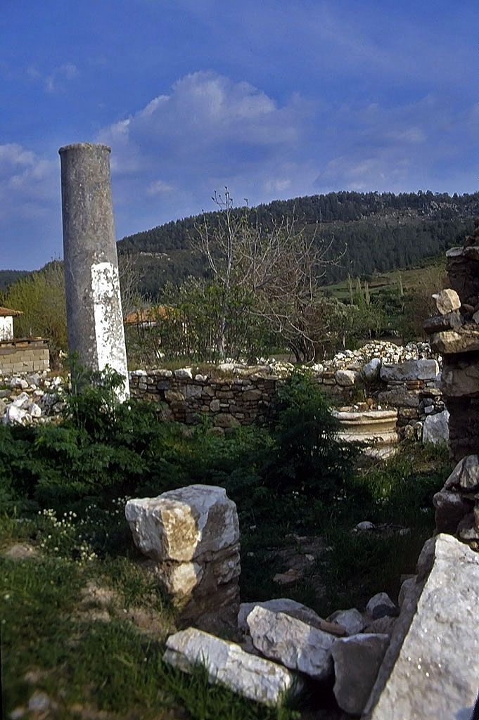 23.04.1993 | Hauptstrasse | Säulen und Architekturfragmente im Gestrüpp