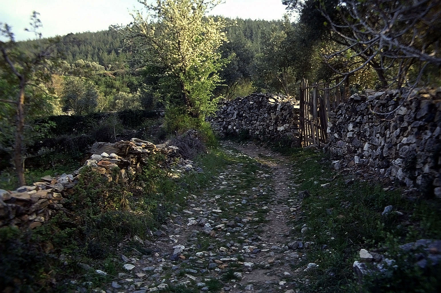 23.04.1993 | Theater   | Weg zum Theater